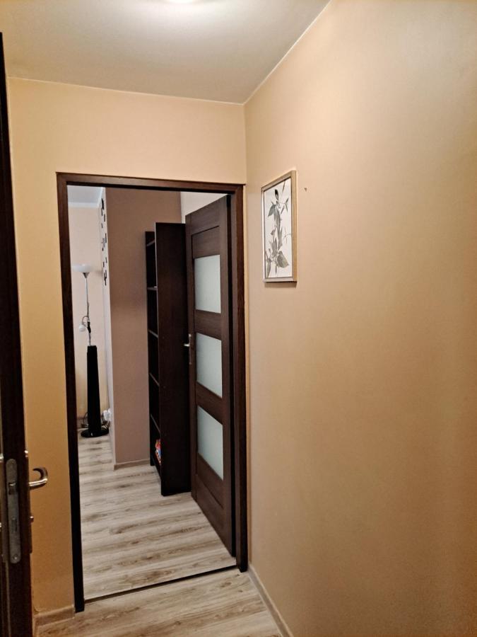 Apartamento Monica Jelenia Góra Exterior foto